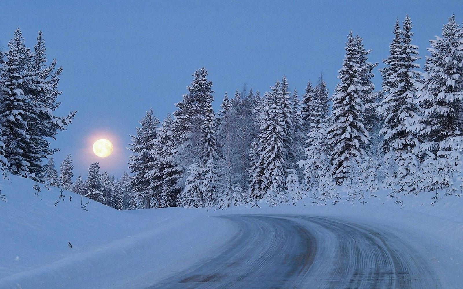 1920x1200 Diane M on Moonlit snow | Winter wallpaper, Winter scenery