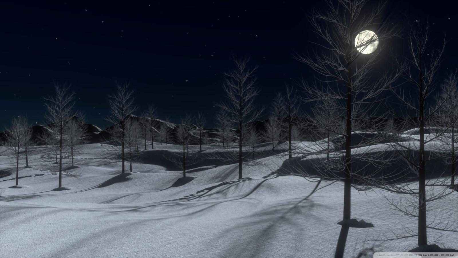 1920x1080 Full Moon Winter Night - 1920x1080 Wallpaper - Ecopetit.cat