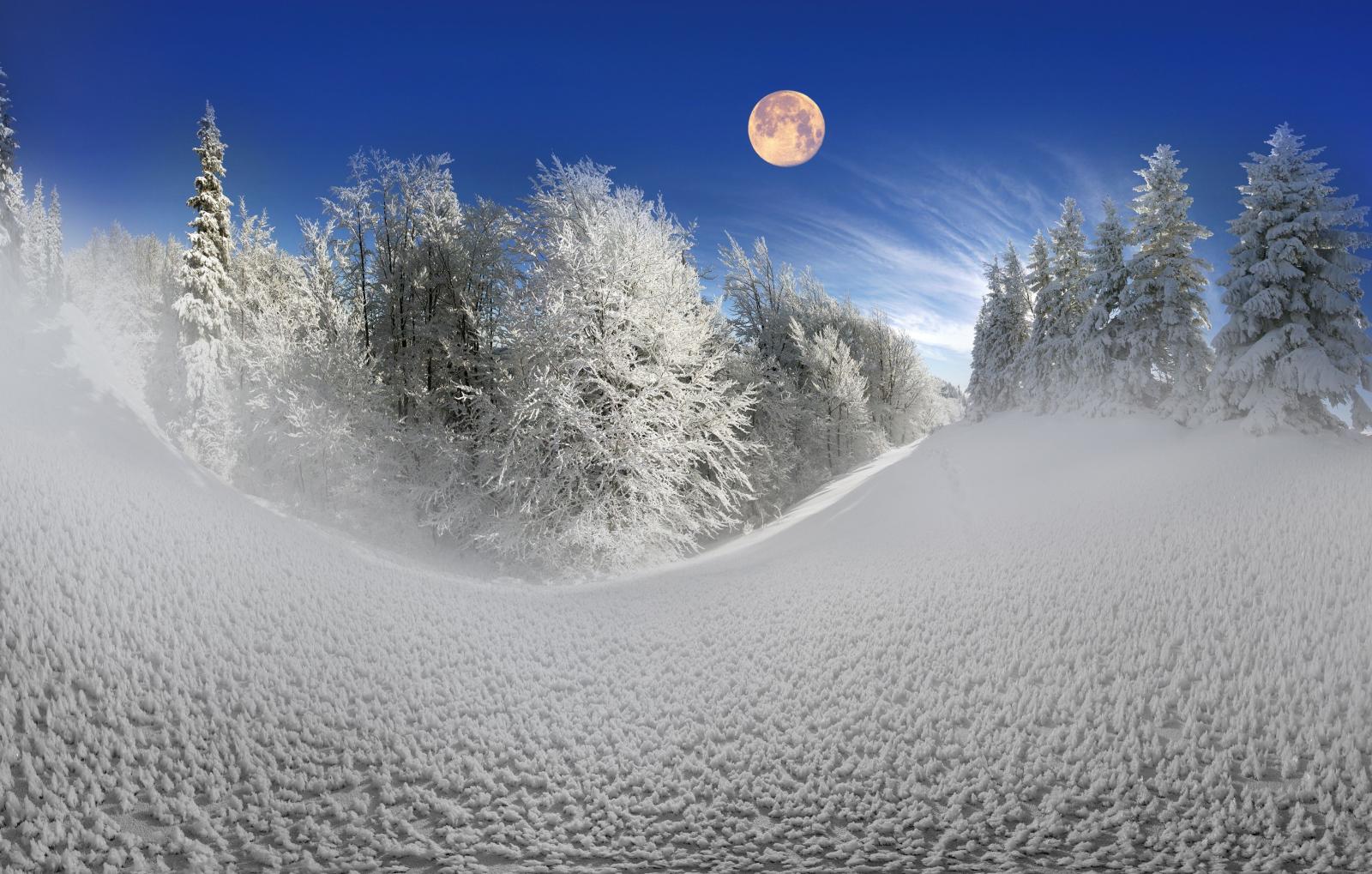 3925x2500 Download 3925x2500 Snow, Trees, Moon, Clean Sky, Winter Wallpapers