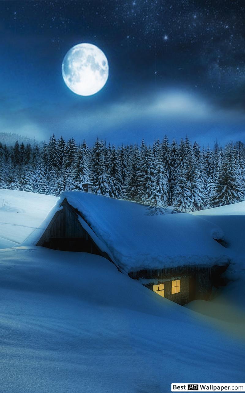 800x1280 Full Moon at winter HD wallpaper download
