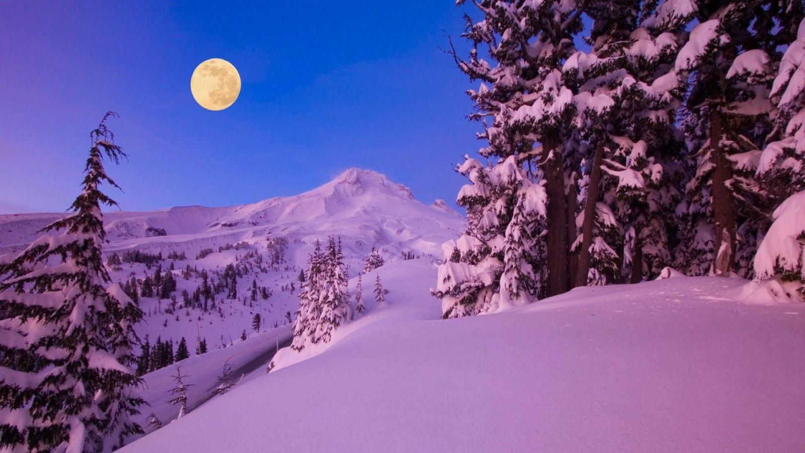 1920x1080 Winter, tree, moon, snow - Free wallpapers