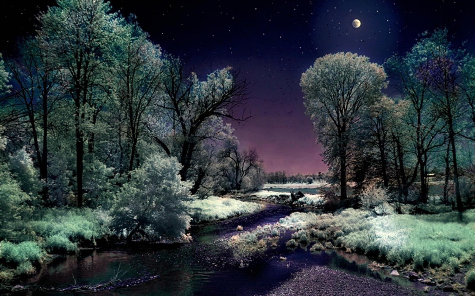 1920x1200 Full Moon on Winter Night HD Wallpaper | Background Image