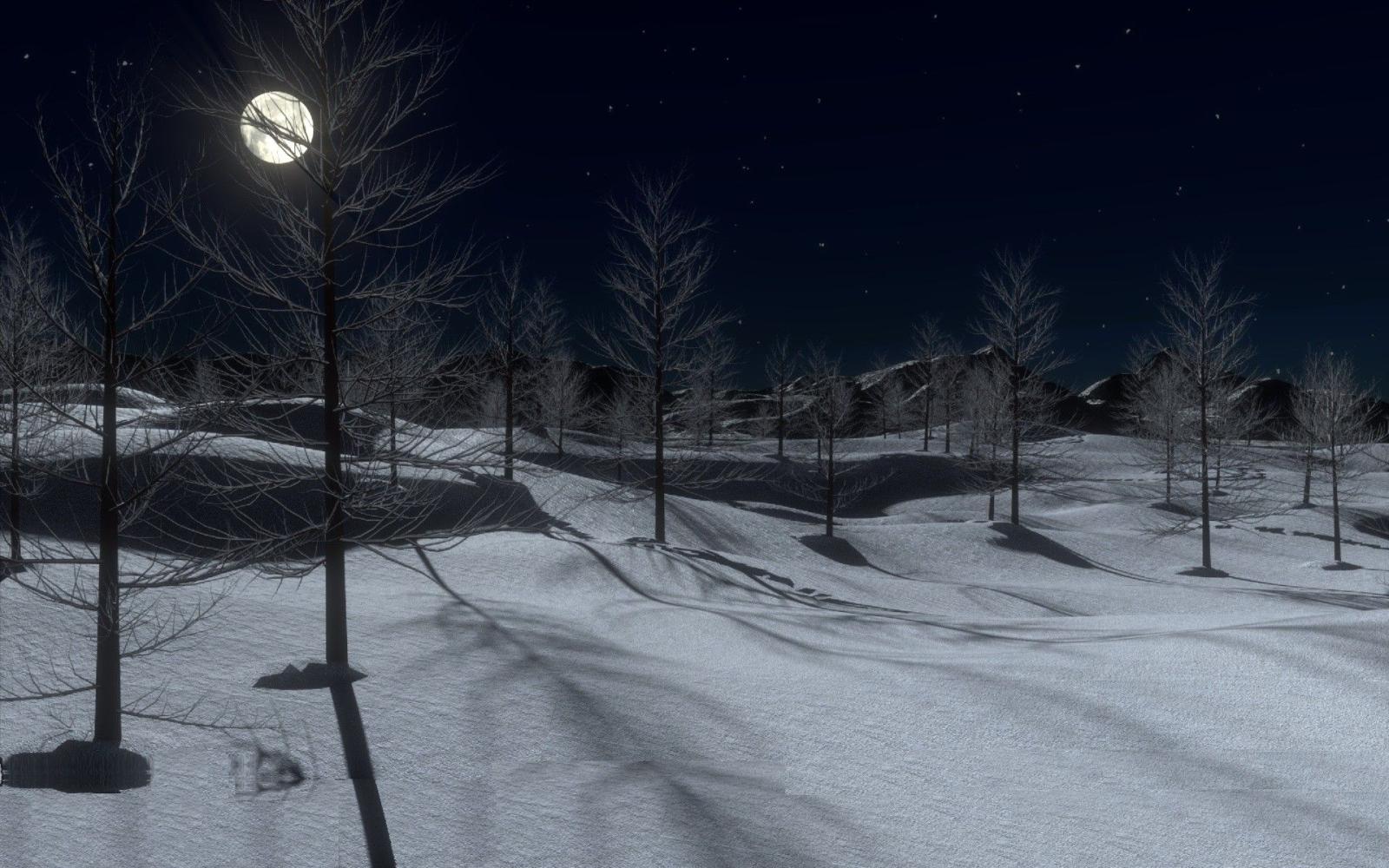 1920x1200 Beautiful winter midnight, snow, trees, full moon, forest - HD