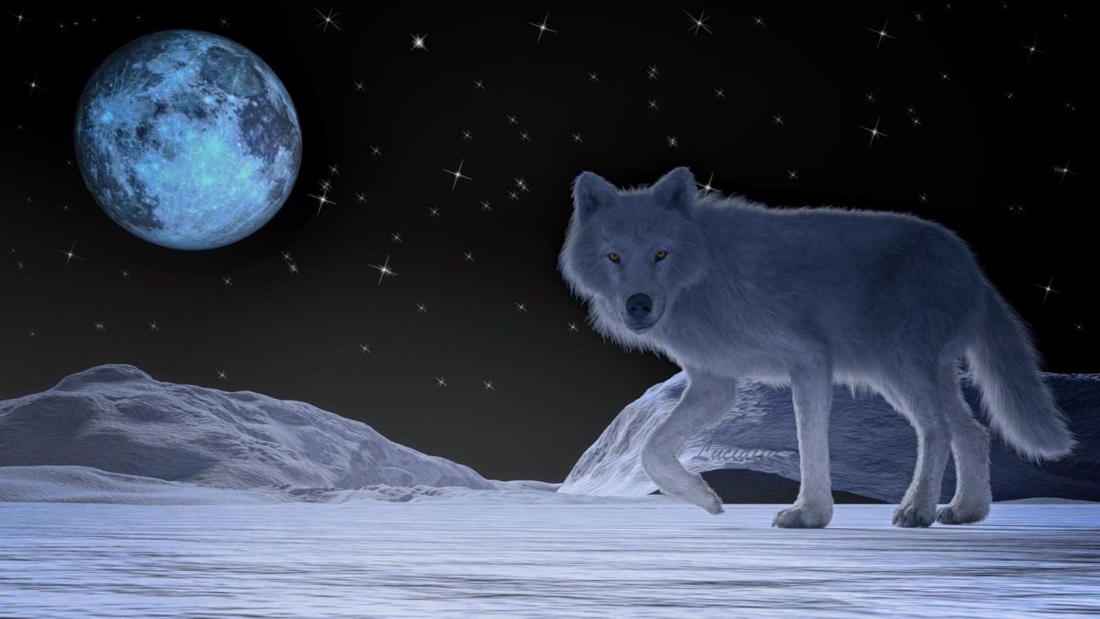 1920x1080 Fantasy Wolf Fantasy Animals Animal White Wolf Winter Full Moon HD