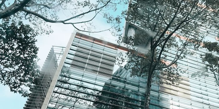 910x911 HD wallpaper: vietnam, ho chi minh city, tree, building, business