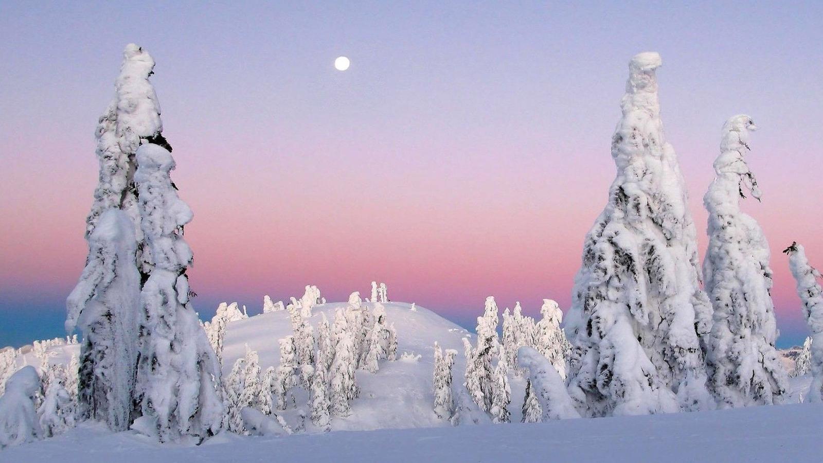 1920x1080 Full Moon Over Frozen Nature Nature HD Wallpapers Download High