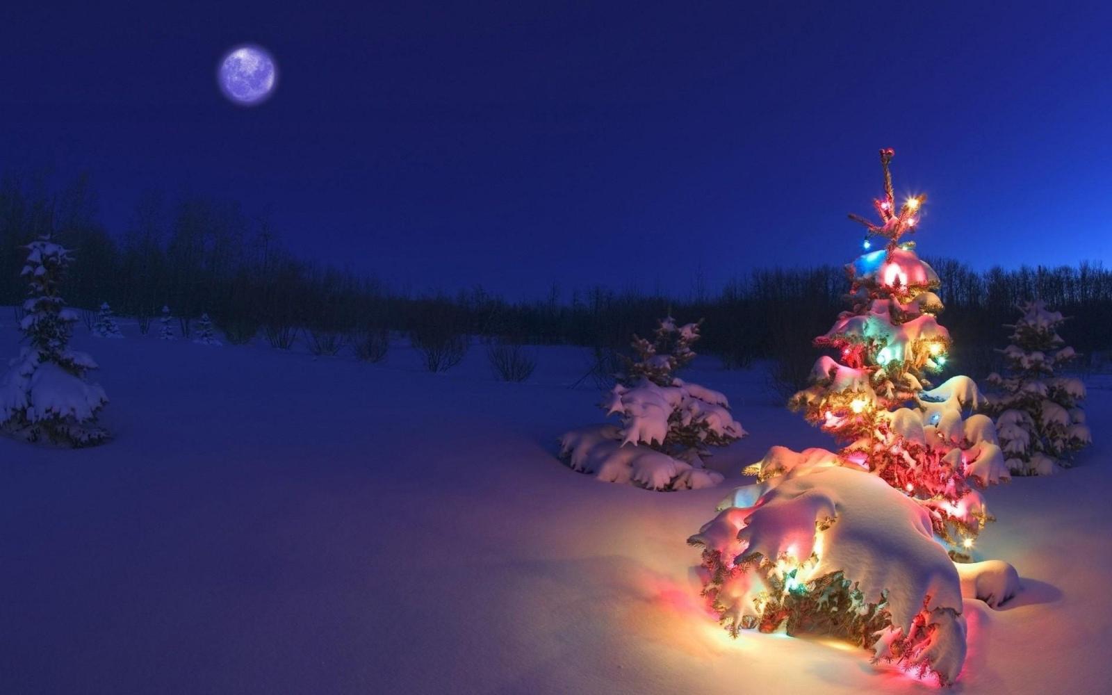 2880x1800 Winter Night Moon Christmas Tree Garlands Nature #3167 Wallpapers