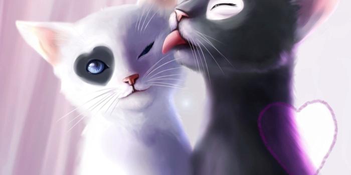 1680x1050 Lovely Anime Cat Couples Images | HD Wallpapers Images - Clip Art