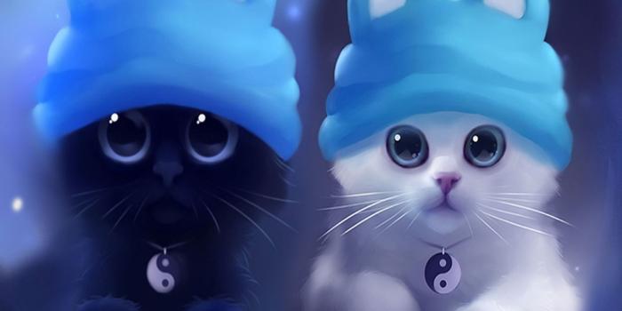 1440x1280 Yin and yang cats teddy bears cartoonic wallpaper | SidRehmani