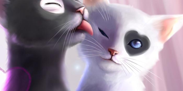 3200x2560 Black And White Cats Romance - Loving Android Wallpapers @mobile9