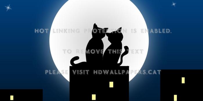 1352x1300 cats couples fantasy love sky blue moon 3d