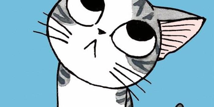 1072x1890 3d Love Couple Cartoon Wallpapers Download - Cute Cartoon