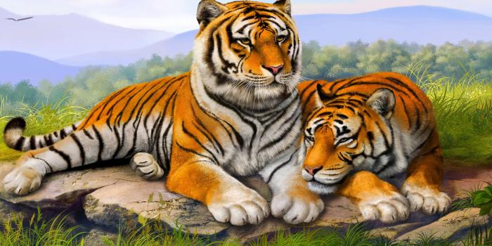 3840x2400 Tiger Couple Wallpaper Hd 3840x2400 : Wallpapers13.com