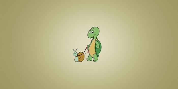 1920x1200 Turtle Snail Leash Walk Minimalism Funny Cartoon Art #6926889