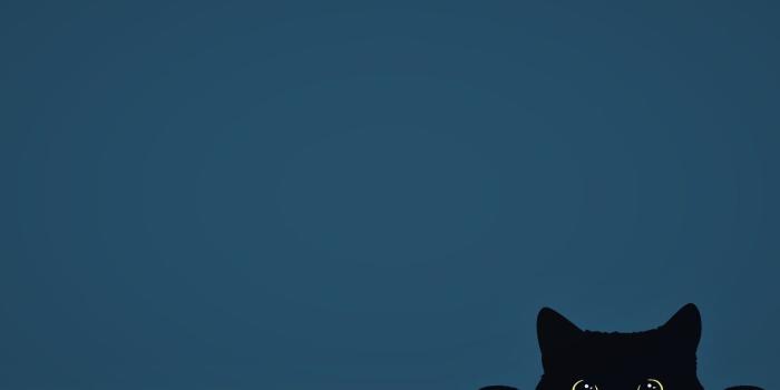 1332x850 Wallpaper minimalism, Cat, funny, digital art, artwork, cute