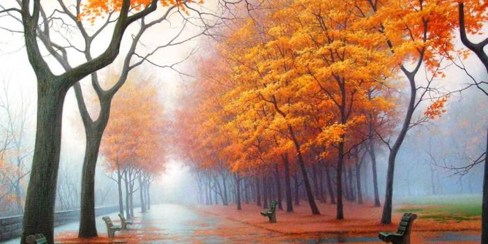 1920x1200 Autumn Park Avenue Benches Trees Fall Fog Desktop Wallpaper