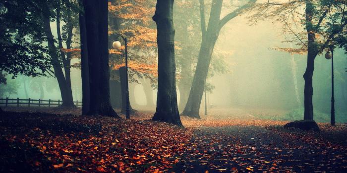 1920x1080 Best Fog wallpaper ID:400340 for High Resolution hd 1920x1080 desktop