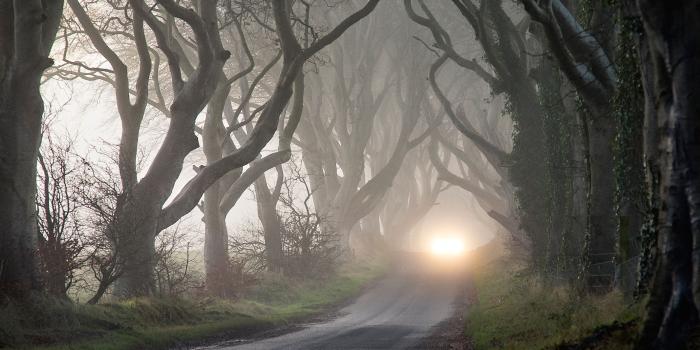 2560x1600 Fog Wallpapers - Top Free Fog Backgrounds - WallpaperAccess