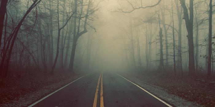 2560x1600 72+ Foggy City Wallpapers on WallpaperPlay