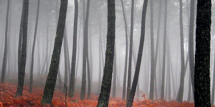 2048x2048 25 Fall iPad Wallpapers