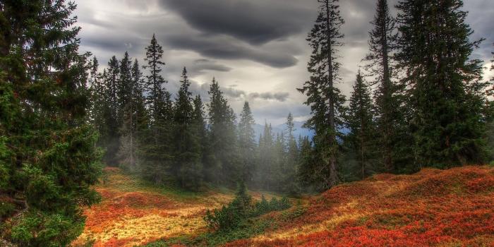 1920x1080 Autumn Backgrounds | HD Windows Wallpapers