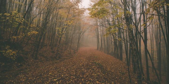 1920x1200 Hipster Autumn Wallpapers - Top Free Hipster Autumn Backgrounds