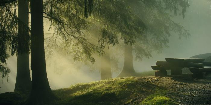 1920x1200 Best 36+ Fog Wallpapers for Desktop on HipWallpaper | Fog