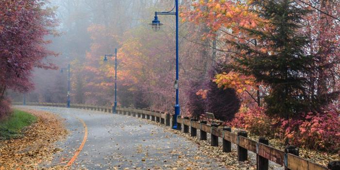 1332x850 Wallpaper Road, Fog, Autumn, Street, Canada, Lights, Canada, Fall