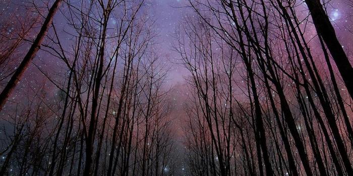 1152x2048 Mobile HD Wallpapers