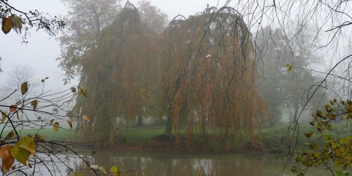 1600x1200 Autumn Leaves Reflection Wallpapers posted by Michelle Tremblay