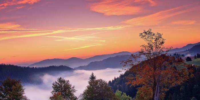 1920x1200 sunset, Mountains, Trees, Fall, Landscape, Autumn, Fog, Sunrise