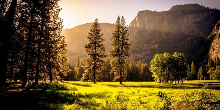 1600x1063 Nature Sky Outdoors Landscape Trees Sunset Mountains Grass Forest