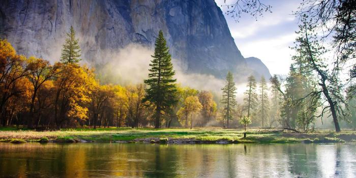 1920x1080 Nature Mountains Forest Spruce Lake Mist Morning Fog Reflection