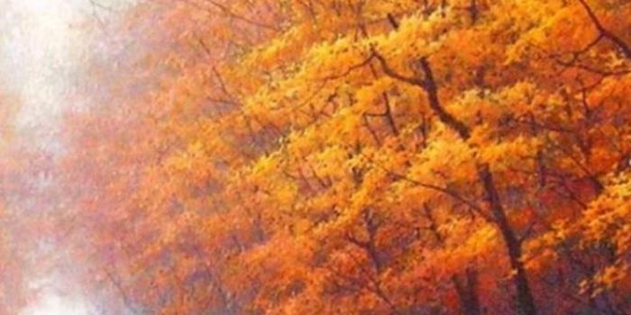 720x1280 720x1280 Wallpaper autumn, park, avenue, benches, trees, leaf fall