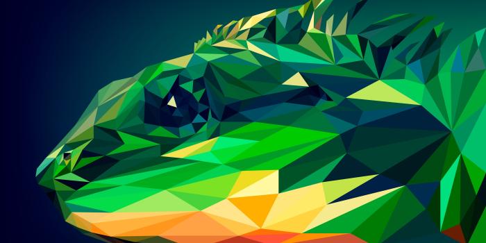 6400x4822 Poly Lizzard Animal Vector Art #3813 Wallpapers and Free Stock