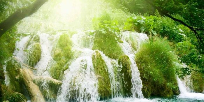 1280x720 Most relaxing Music ever - Rain Forest Meditation #rainforest