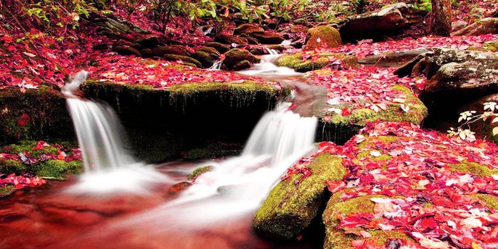 1200x800 Beautiful Wallpapers: Nature Painting Wallpaper 3 | Chainimage