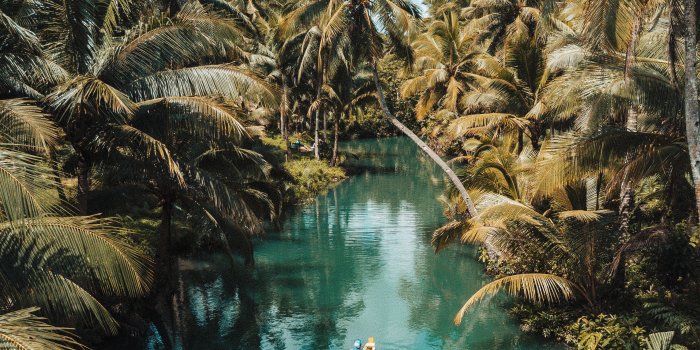 2987x3613 Samsung Wallpapers: Free HD Download [500+ HQ] | Unsplash