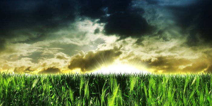 1920x1200 3D HD Nature Images Free Download