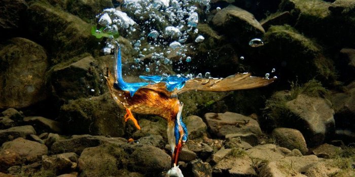 1600x1200 National Geographic HD Wallpapers