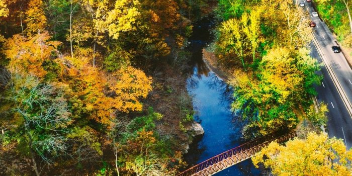 1000x1500 100+ Scenic Pictures [HD] | Download Free Images on Unsplash