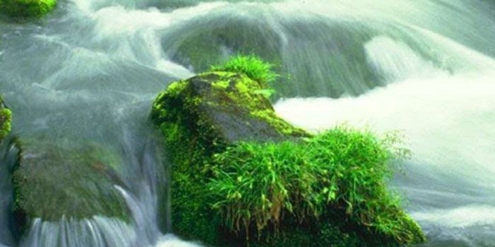 1080x1920 Most Popular Wallpapers (55+ images)