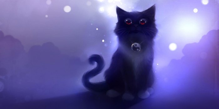 1920x1080 Animated Cats Wallpapers