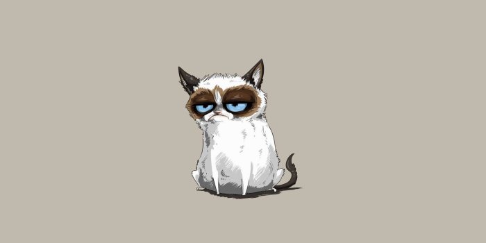 1920x1080 Cartoon Cat Wallpapers - Top Free Cartoon Cat Backgrounds - WallpaperAccess