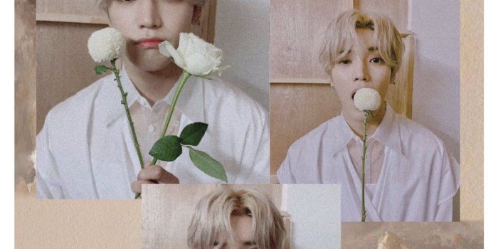 914x1200 NCT Aesthetic Wallpapers - Top Free NCT Aesthetic Backgrounds