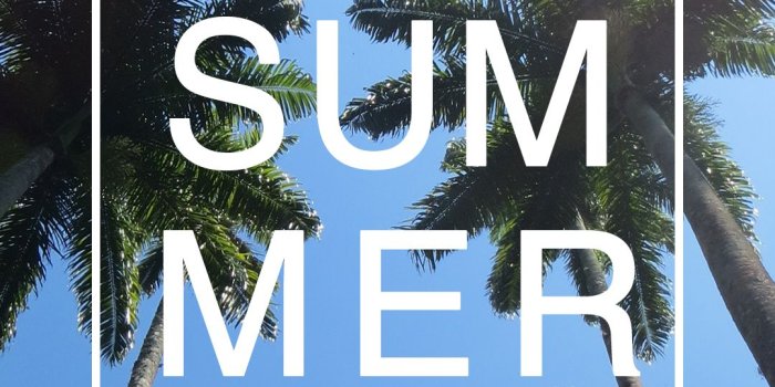 1080x1920 Summer Palm Tree Ocean background wallpaper you can download for