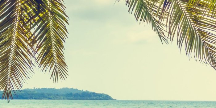 1280x2120 Palm Tree, Beach, Sand, Holiday, Summer, Wallpaper - Iphone Plus