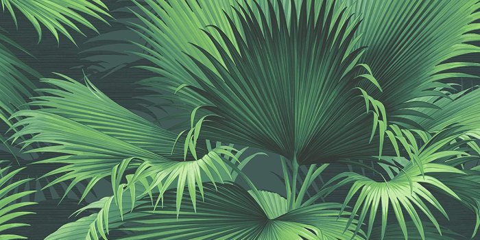 1500x1400 Kenneth James PS40104 Dark Green Endless Summer Palm Wallpaper, 2