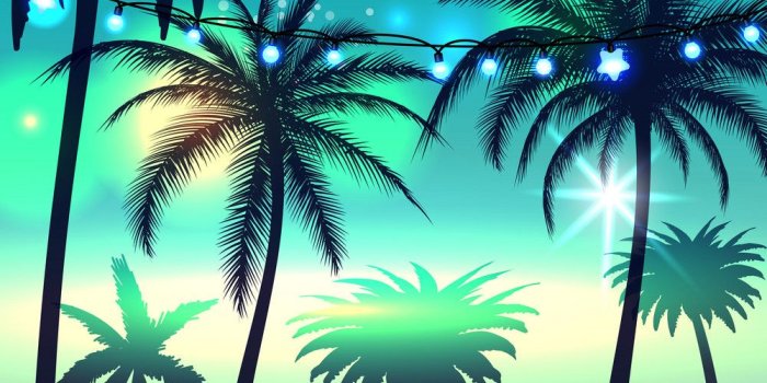 1000x1080 Free download Summer background with palm trees Royalty Vector
