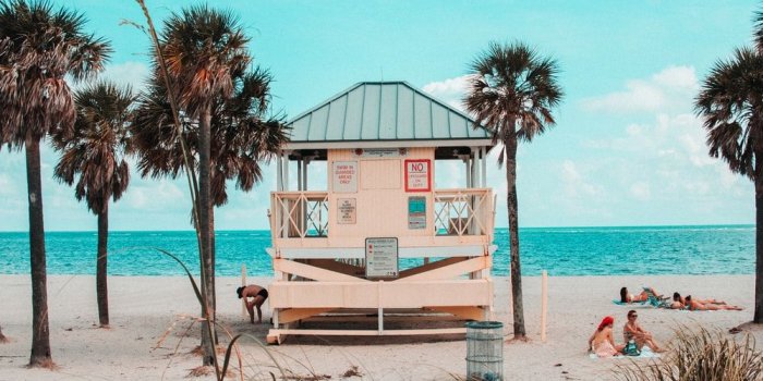 1000x1500 Summer Vibes | 12 best free summer, palm tree, wallpaper and blue